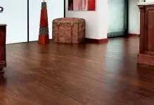 Lijneya Parquet an Laminate: Tête zayendek wusa çêtir, meriv çawa darek xwezayî, wêne û berhevok hilbijêrin