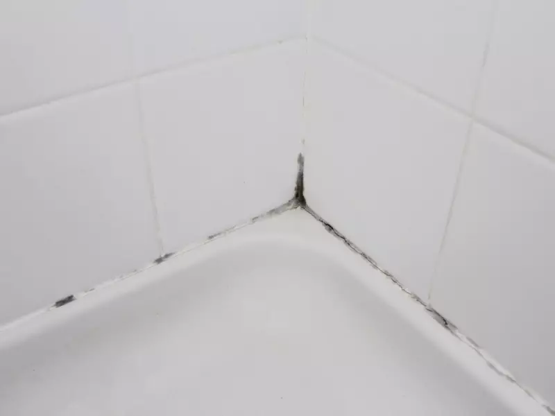 Hur tar man bort mögel på badrummet på tätningsmedel?