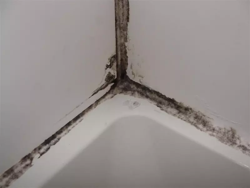 Kako odstraniti kalup v kopalnici na tesnilnici?