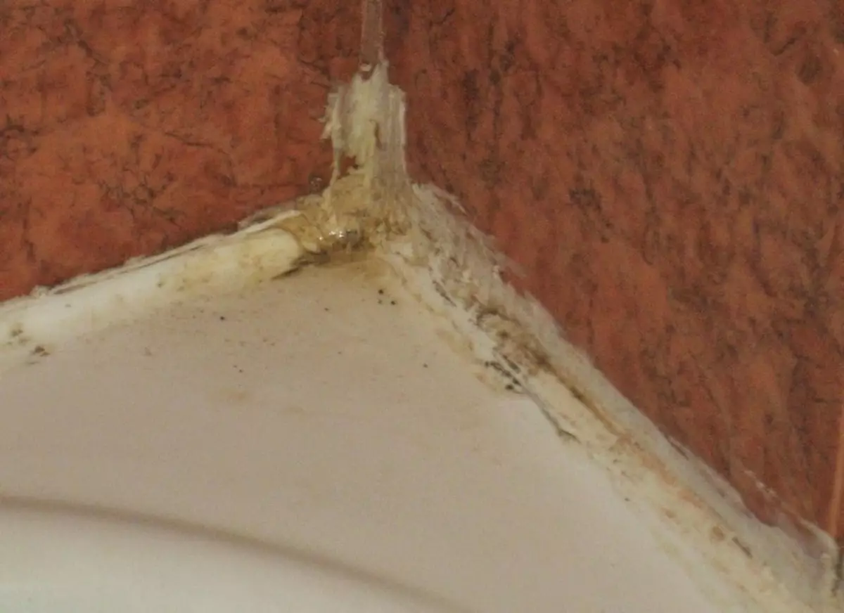 Comment éliminer le moule dans la salle de bain sur le mastic?