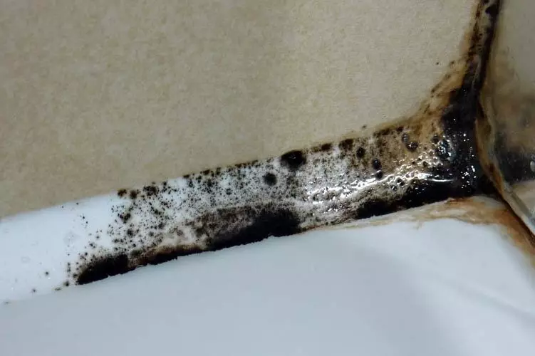 Cum de a elimina mucegaiul în baie pe etanșant?