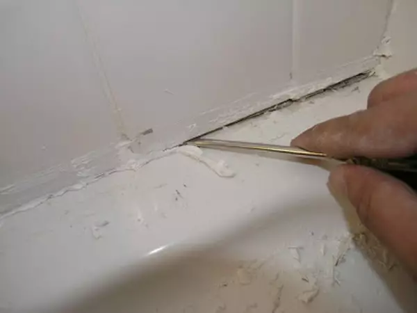 실란트의 욕실에서 금형을 제거하는 방법은 무엇입니까?