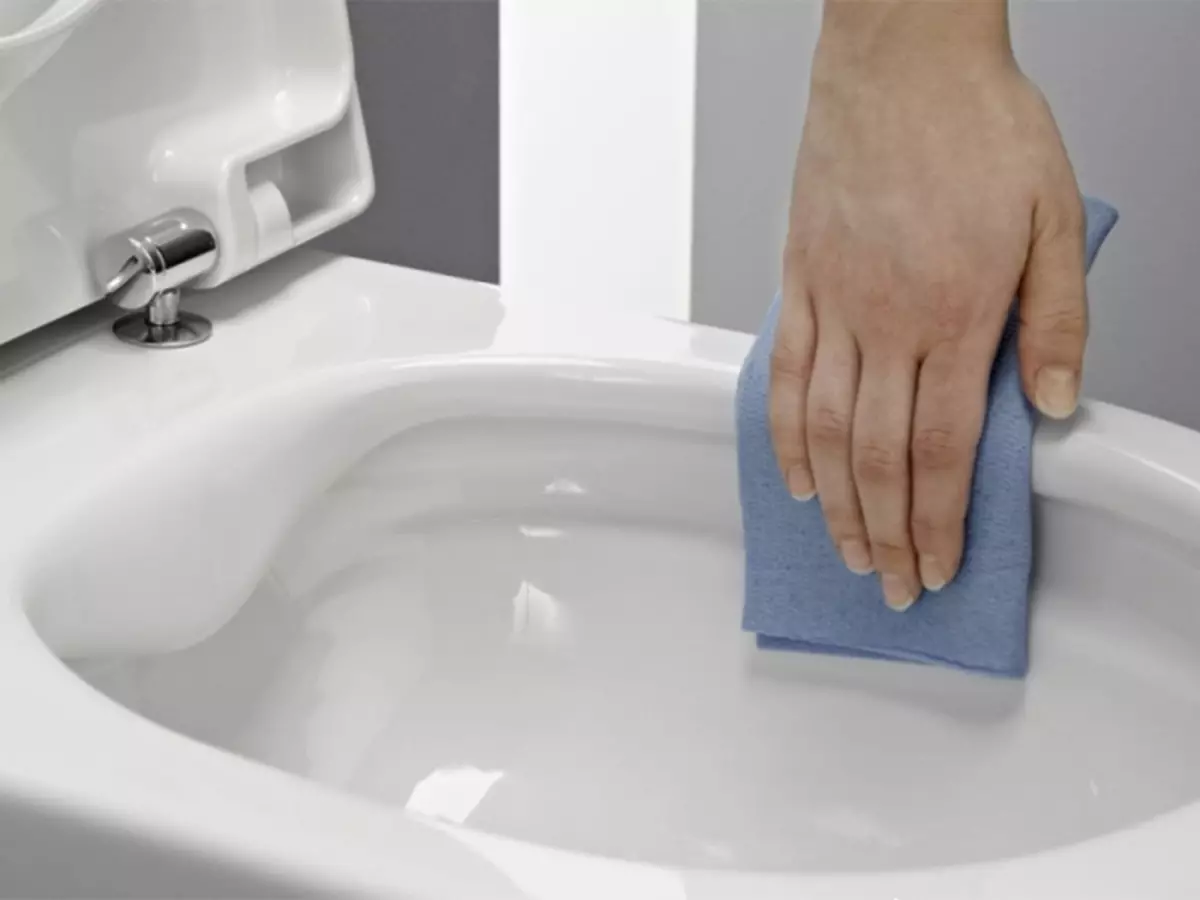 Soins de la toilette. Comment laver et nettoyer les toilettes à la maison?