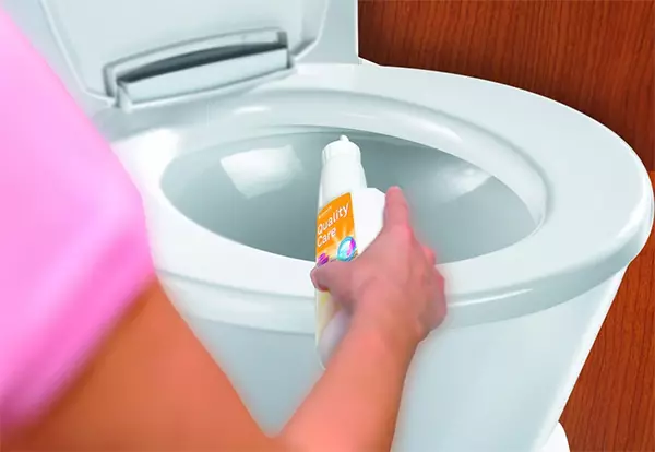 WC-ellátás. Hogyan kell mosni és tisztítani a WC-t otthon?