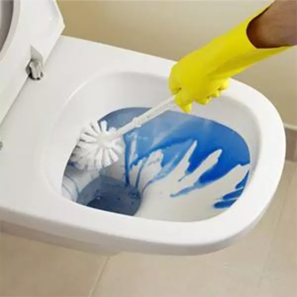 Chăm sóc nhà vệ sinh. Làm thế nào để rửa và làm sạch nhà vệ sinh ở nhà?