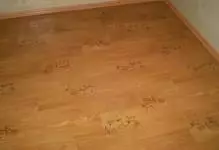 So spazieren Sie Linoleum: Singen Sie ordnungsgemäß mit Ihren eigenen Händen, Betonboden und Video in der Wohnung, da das Wort geschrieben ist