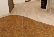 Cara milih linoleum: kanggo apartemen utawa omah, bener lan kualitas tinggi kanggo bale mlebu, koridor sing apik lan menehi tandha