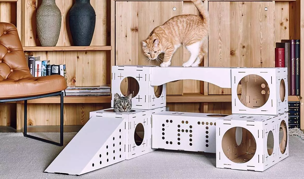 如何选择一个时尚的猫房子为心爱的kisa？