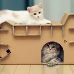 Πώς να επιλέξετε ένα κομψό σπίτι γάτα για την αγαπημένη Kisa;
