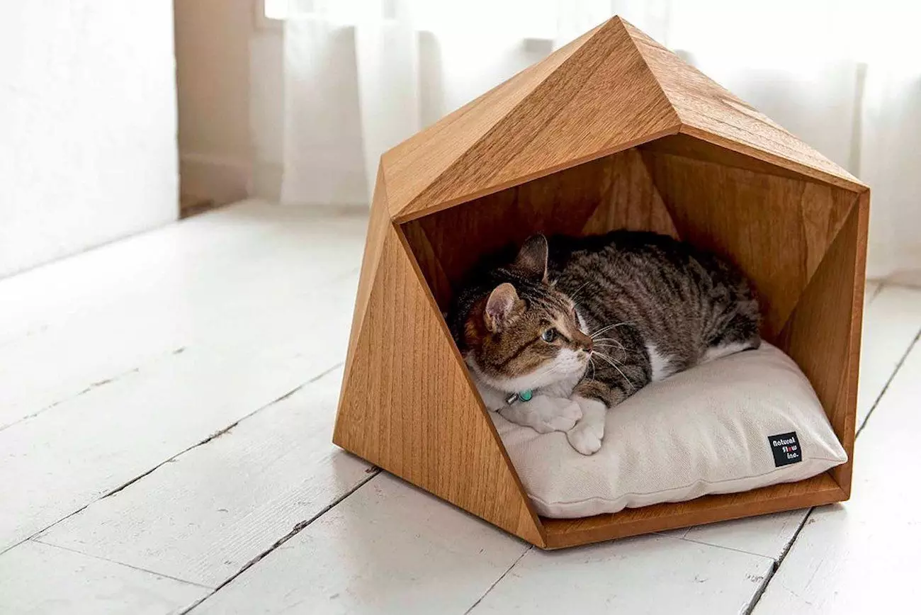 如何选择一个时尚的猫房子为心爱的kisa？