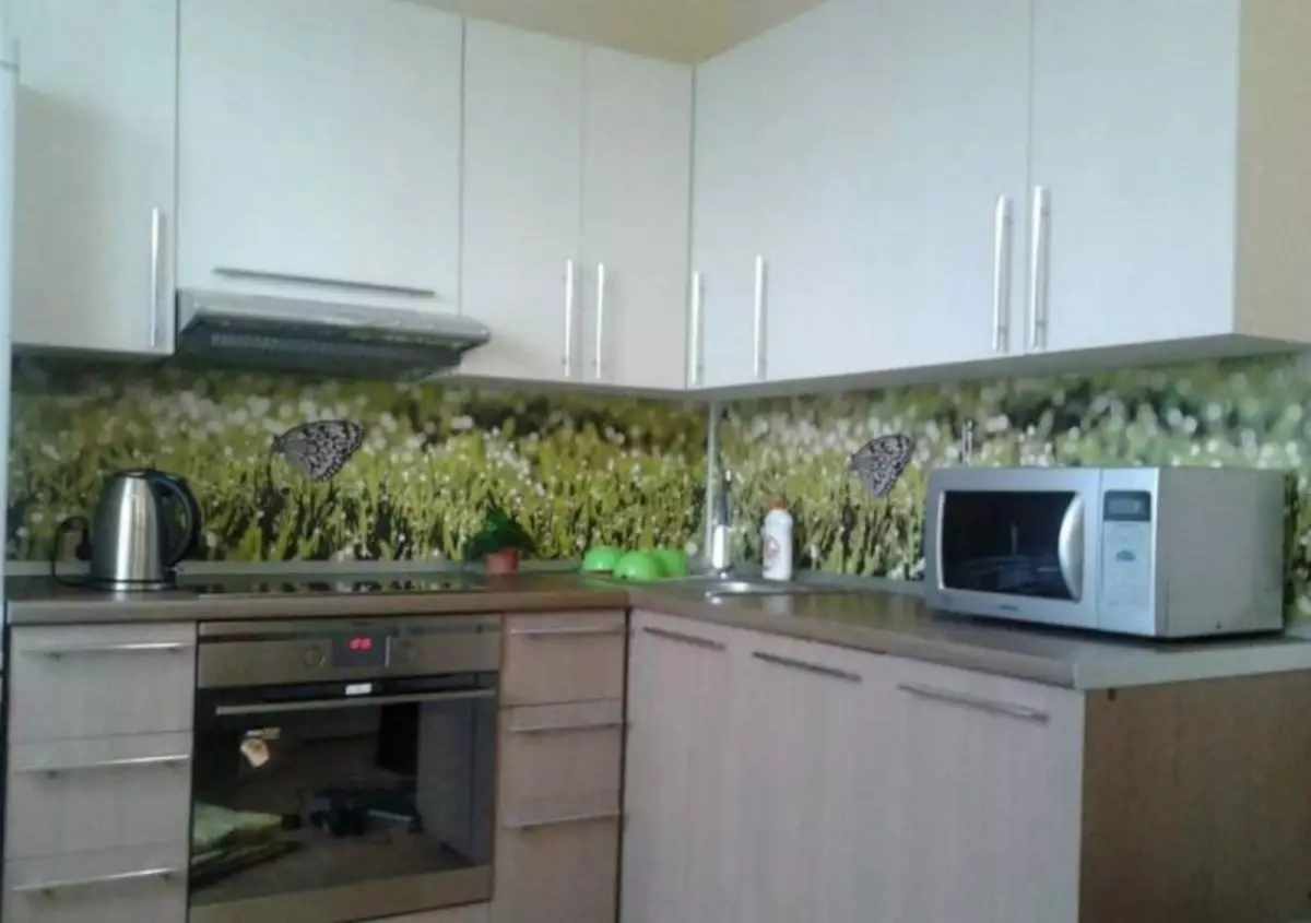 Պլաստիկ խոհանոցային վահանակներ. Պատի վահանակ օրինակով, ինչպես կարել խոհանոցը, վահանակների առաստաղը, լուսանկարը, լուսանկարը