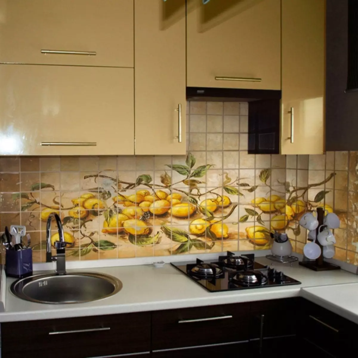 Kako lijepiti pločicu na zidu u kuhinji: Kako izlagati, polaganje mogućnosti, kako staviti ispravno, video upute, foto galerija