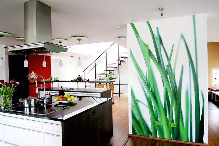 دیواری دیواری برای آشپزخانه: چگونه انتخاب کنید چه اندازه، نقاشی ها، مناظر