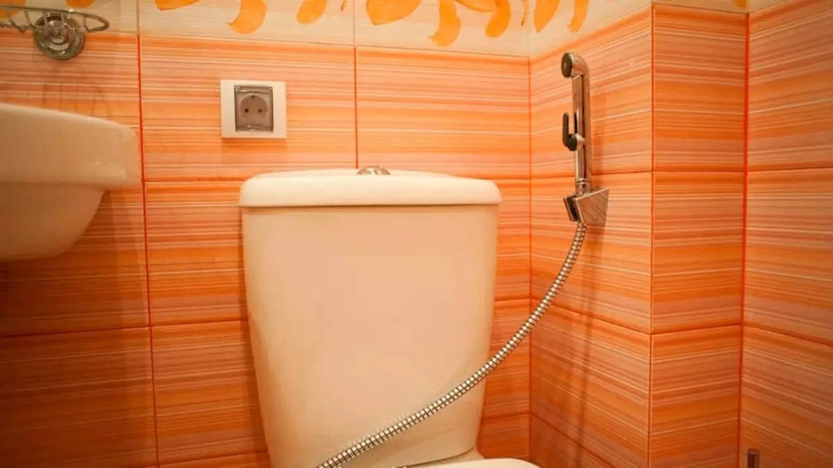 Socket kylpyhuoneessa: Ominaisuudet valinnassa ja asennuksessa