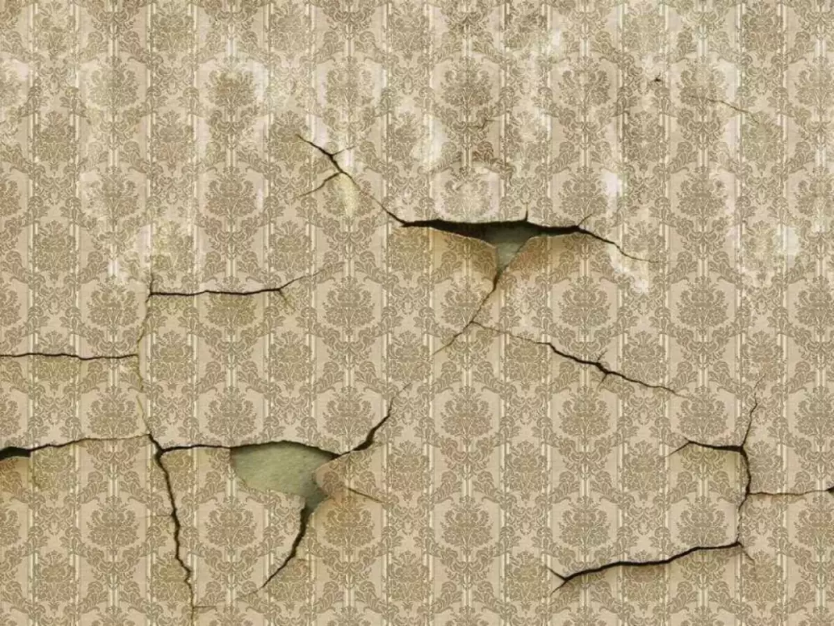 Apa bisa lebokake wallpaper ing wallpaper wallpaper: Cara ngalahake Wallpaper, Apa Wallpaper kanggo lukisan, vinyl, cair, video