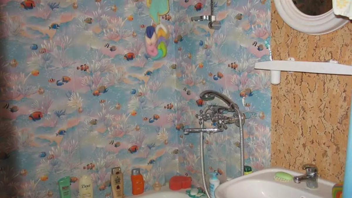 Limpar para paredes no baño: exemplos de fotos