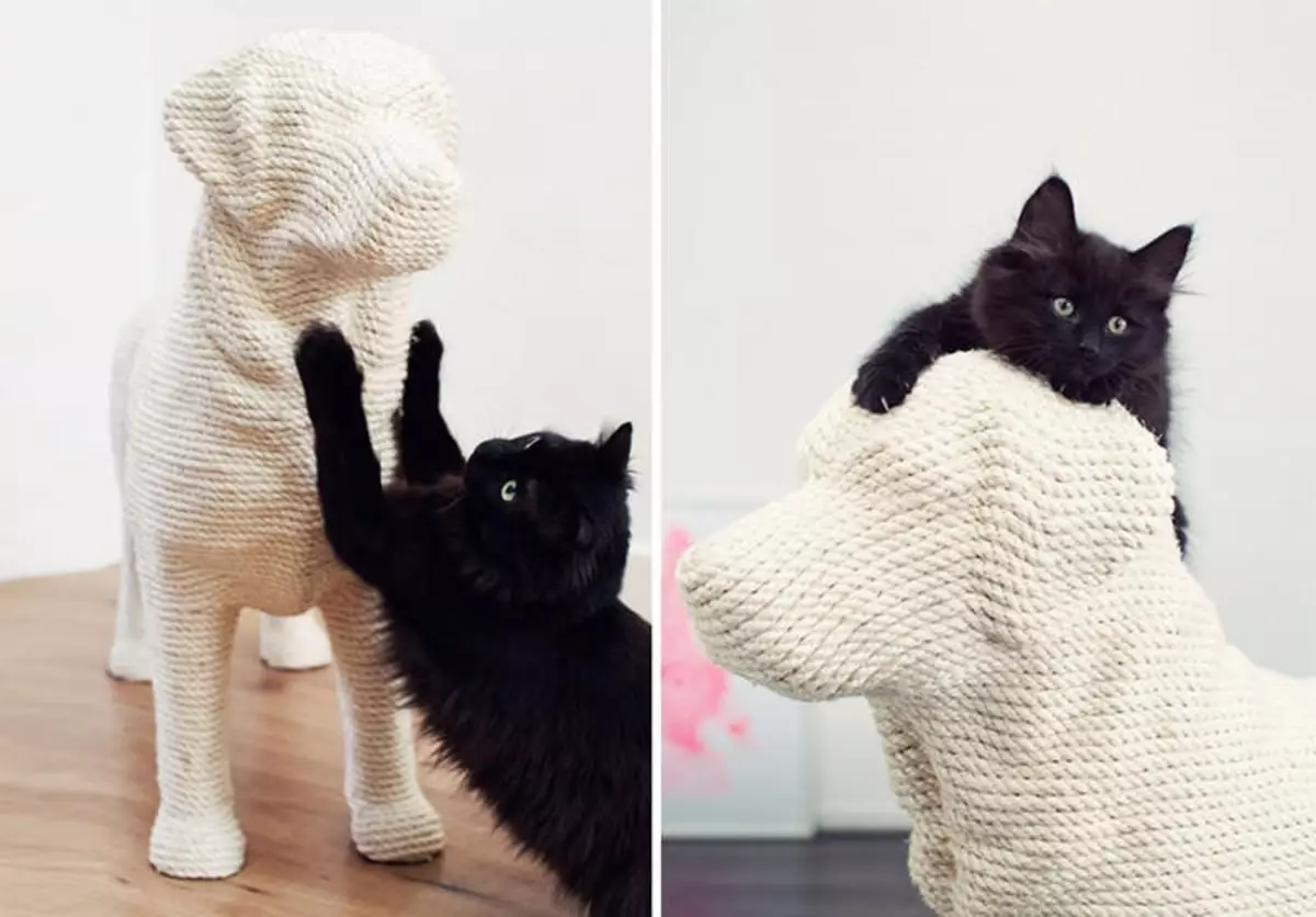 Bagaimana untuk merapikan kucing untuk fuck kertas dinding: apa yang perlu dilakukan perabot calar kucing, kertas dinding yang tidak melawan kucing, melindungi dinding, wallpaper cecair dan kucing daripada untuk memisahkan dinding