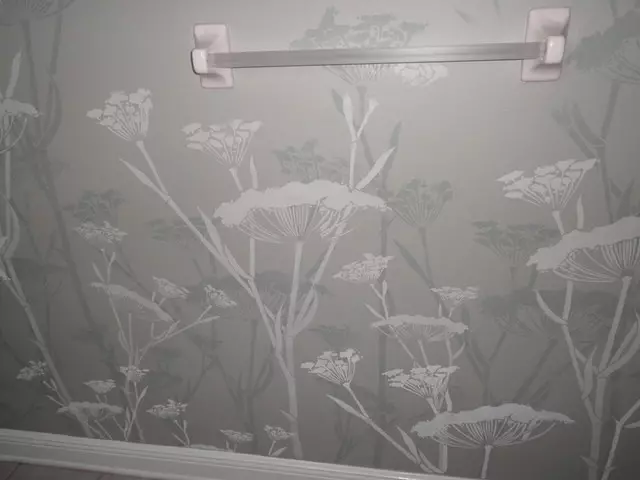 ရေချိုးခန်း stencils