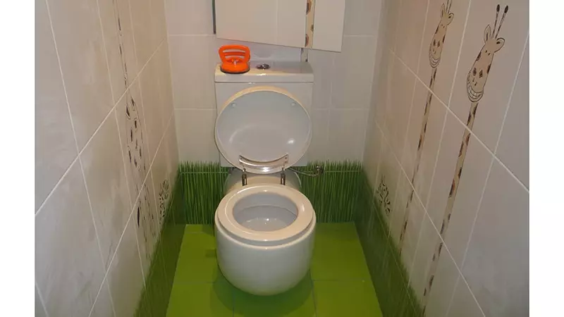 Toilettes à Khrouchtchev: Conception et réparation, Photo de l'idée de l'arrangement