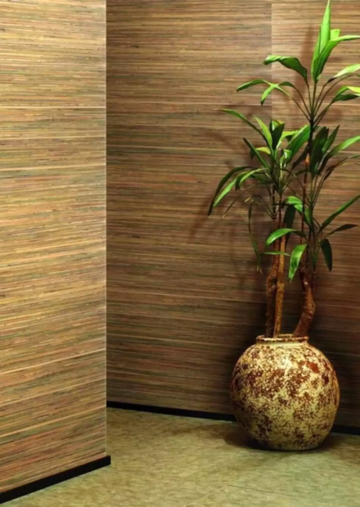 Wallpaper bambu: foto di interior, wallpaper di bawah bambu, dengan pola, video, cara merekatkan basis tisu, untuk apa, menempel