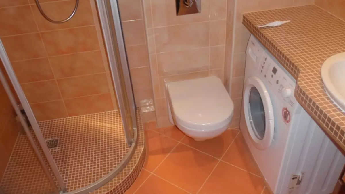 Réparation des toilettes dans la maison du panneau: exemple de design d'intérieur