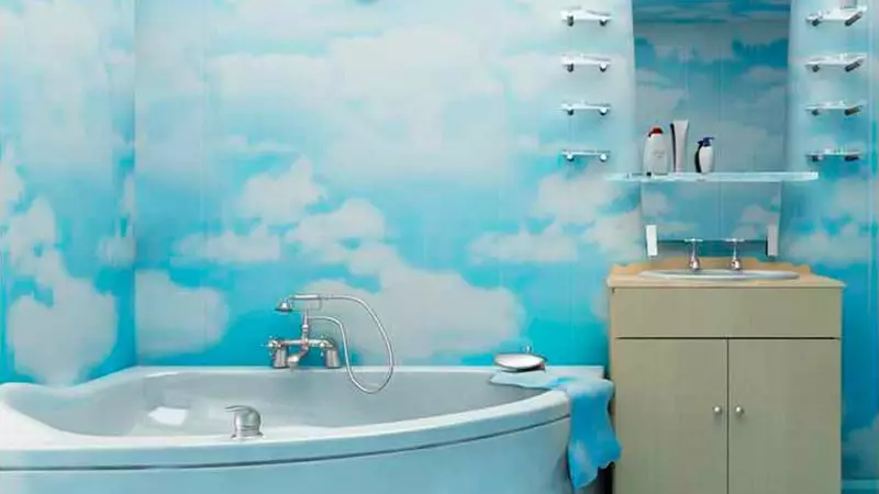 Panneaux de salle de bain en plastique: options de réparation de photos