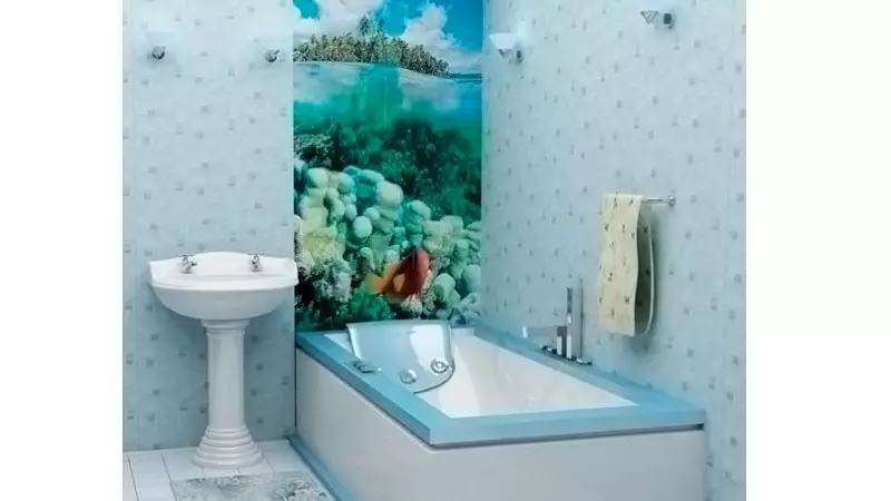 Acabats de bany amb panells de plàstic: Instrucció de fotos