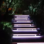 Svetila s fluorescenčnimi svetilkami