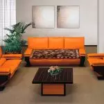 Cape ing sofa - 100 foto pilihan interior sing paling apik