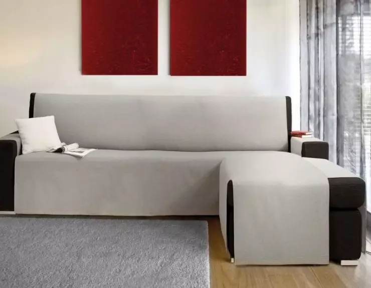 Cape ing sofa - 100 foto pilihan interior sing paling apik