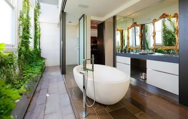 Fürdőszoba növények