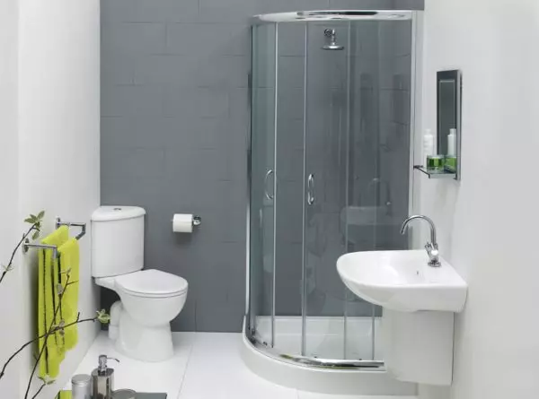 Bathroom interior combined with toilet