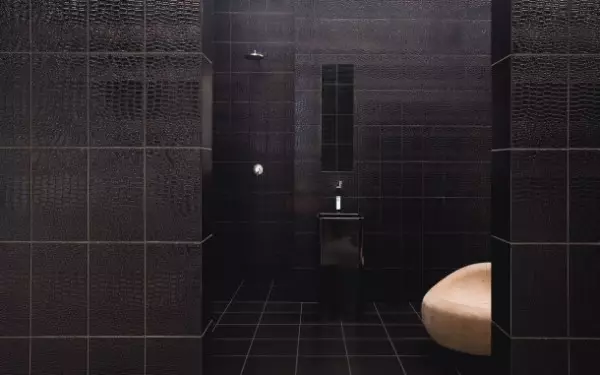 Flīžu dizains vannas istabā - dizaineru padomi