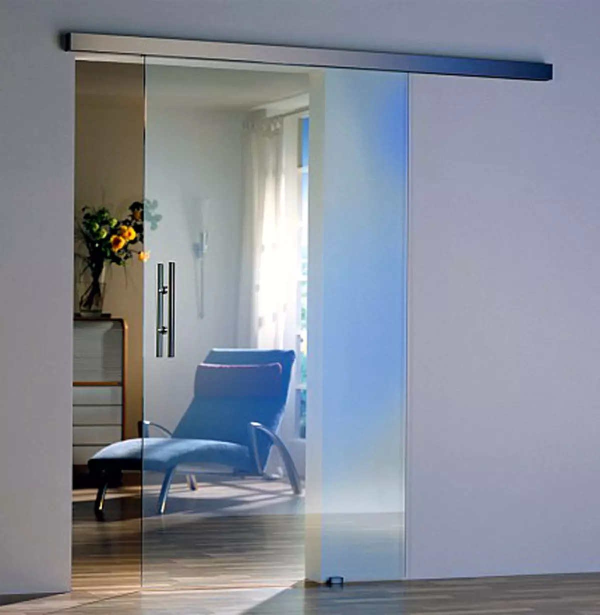 Staklena vrata u apartmanu: kako odabrati optimalnu opciju