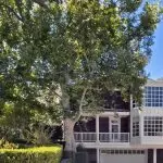 Historische Villa für 6 Millionen US-Dollar: Wie live das Channing Tatum?