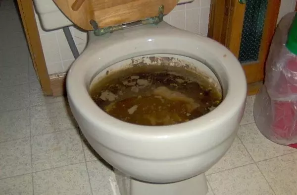Toiletde tualetsiz hajathana ulaltmagyň 3 usuly