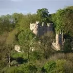 Castle Castle: Delien Royal