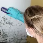 Mit kell kezelni a falakat a penészgomból, mielőtt fúj a tapéta