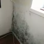 Duvar kağıdını üflemeden önce küften duvarları tedavi etmeli