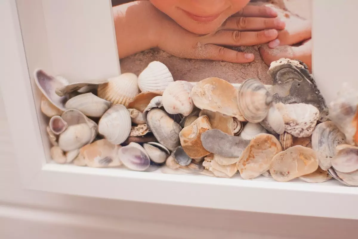 ڈیزائن میں seashells کا استعمال: اوپر 5 اصل خیالات