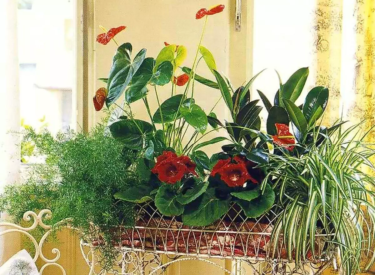 Blomstrende interiør: Dekorer Lejlighed med blomster