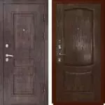 Pintu Lawang Tree: Pandhangan dhasar, fitur desain lan kaluwihan | +55 foto