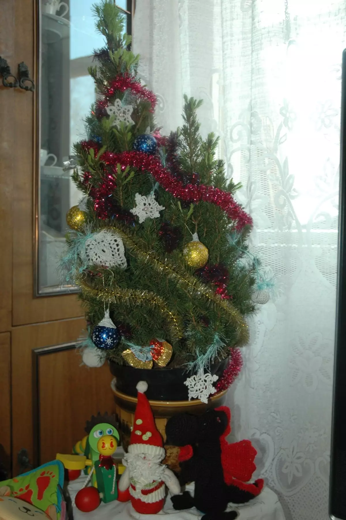 Leben Weihnachtsbaum in Ihrem Topf zu Hause
