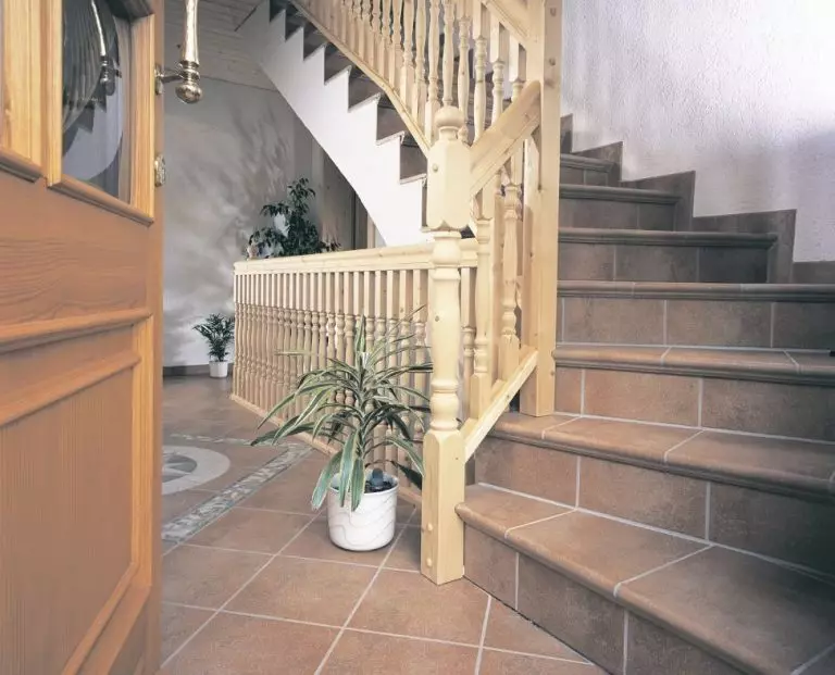 Si për të ndarë shkallët në shtëpi: përzgjedhja e materialit përballet +65 foto