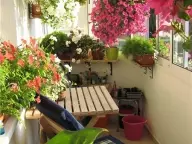 Gradeer bloemen op het balkon in dozen, potten en pap!