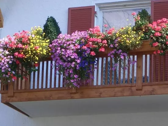 Gradat blomster på balkongen i esker, gryter og grøt!