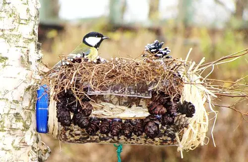 Adagolók a madarak számára a műanyag palackoktól saját kezével: Mester osztály fotóval