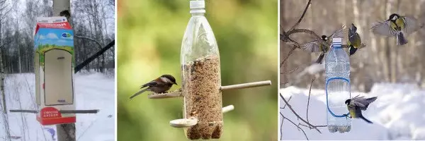 用自己的手從塑料瓶中的鳥類餵食器：碩士課與照片