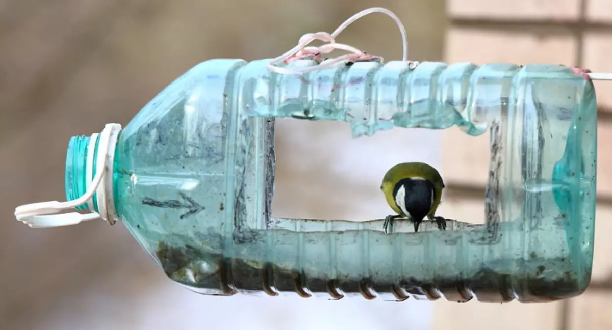用自己的手從塑料瓶中的鳥類餵食器：碩士課與照片