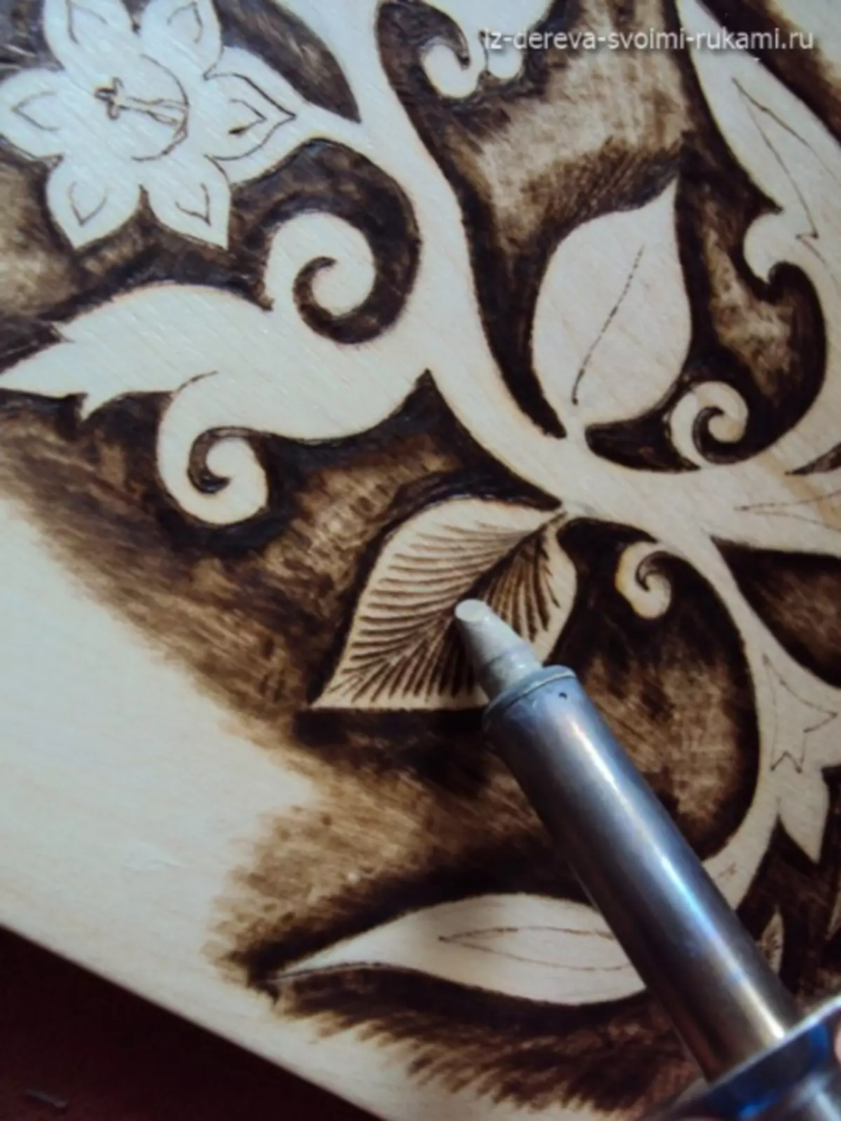 Kobong ing kayu: sketsa lan gambar alam kanggo pamula lan bocah-bocah